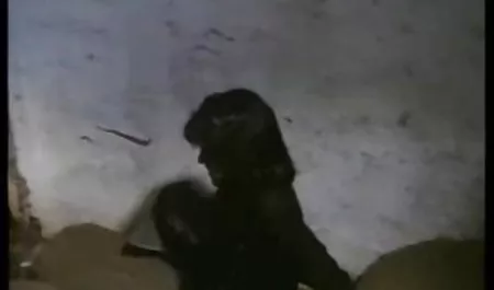 با عشق دانلود رایگان کلیپ پورن از موی جودی ابوتی از کون